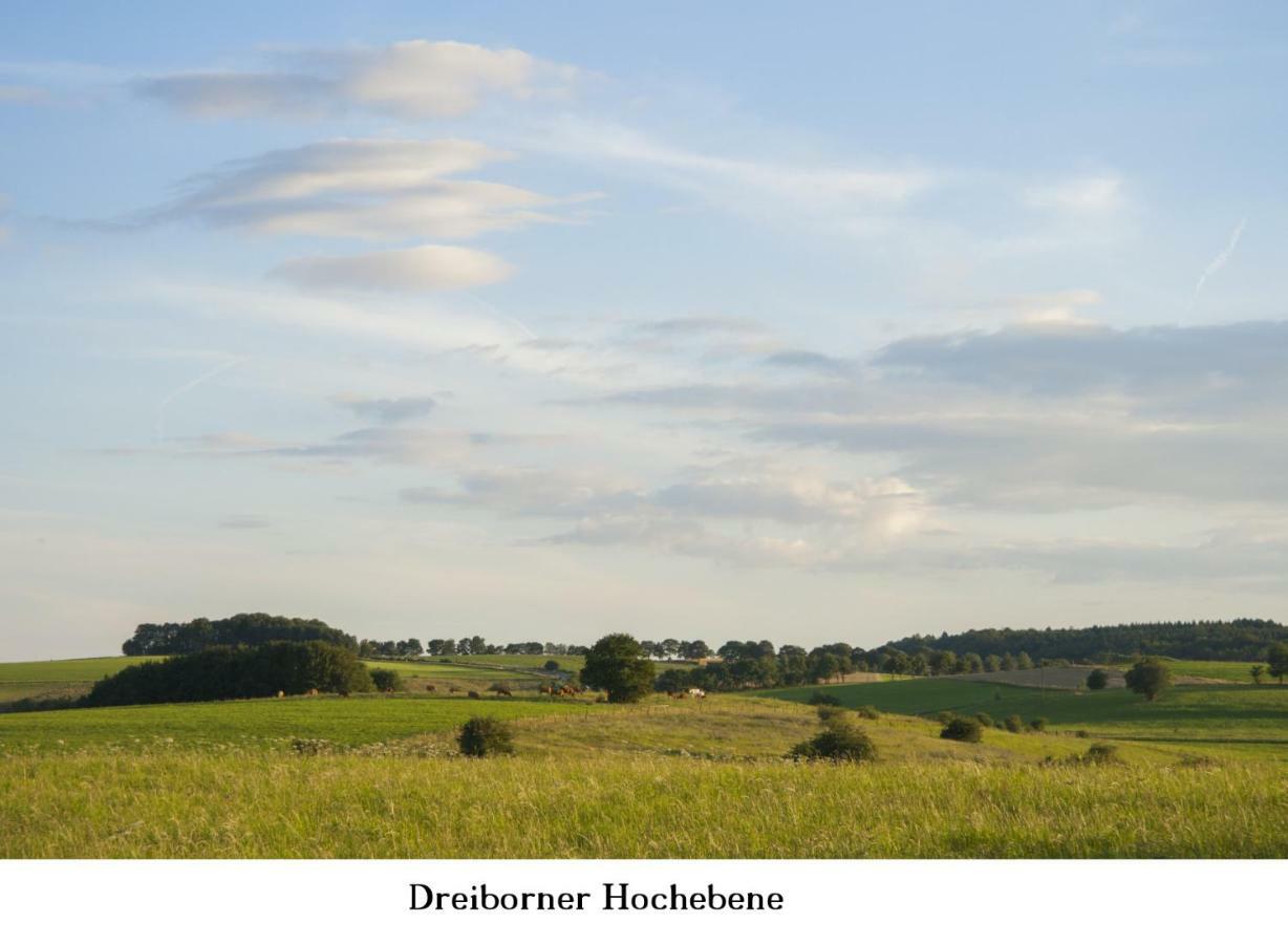 Ferienwohnung Gross B Шляйден Экстерьер фото